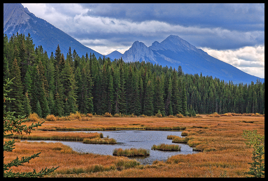 Mountain Marshland