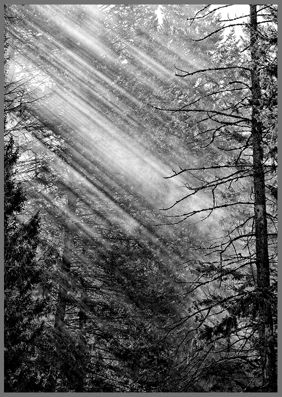 Enlightenment