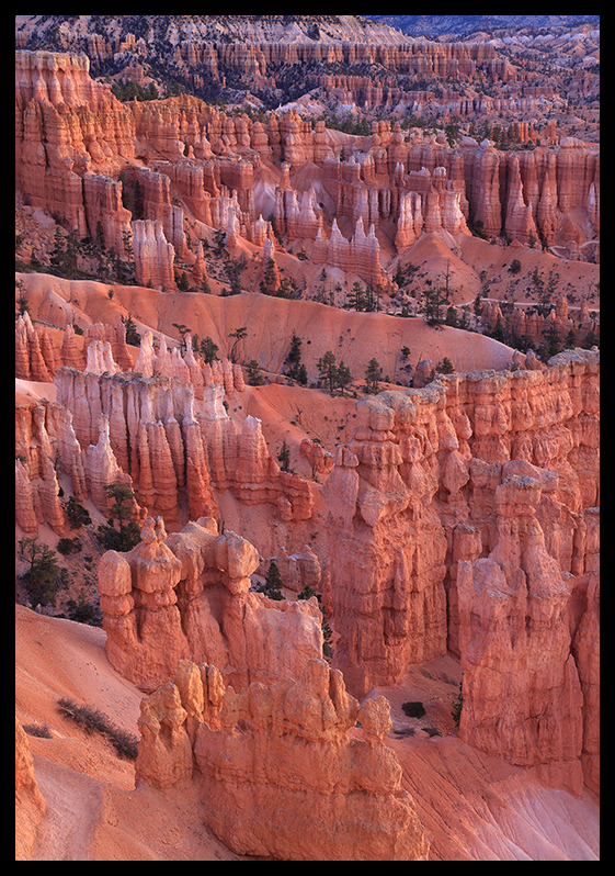 Glowing Spires