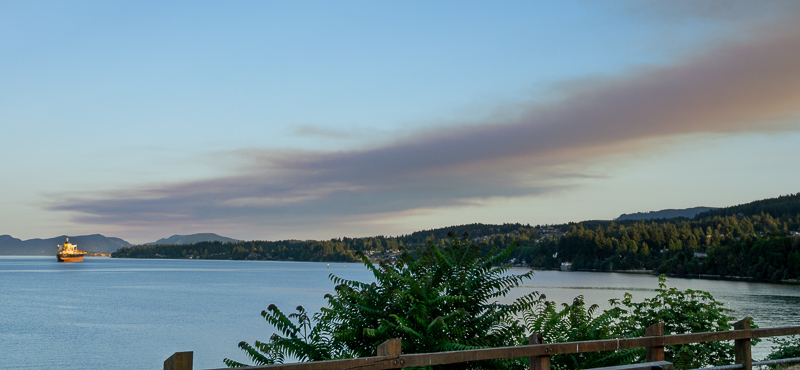 Smoke Plume #2 - Mt Hayes Fire August 2121