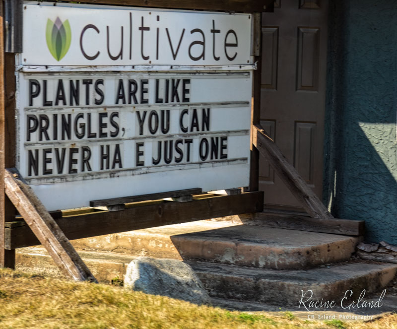 Racine ErlandAugust 2024So true, even without the 'v'