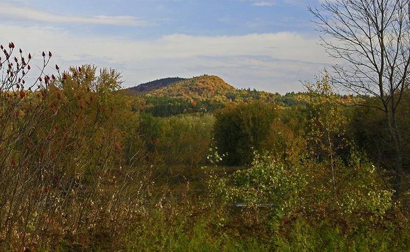 _MG_3407A.jpg