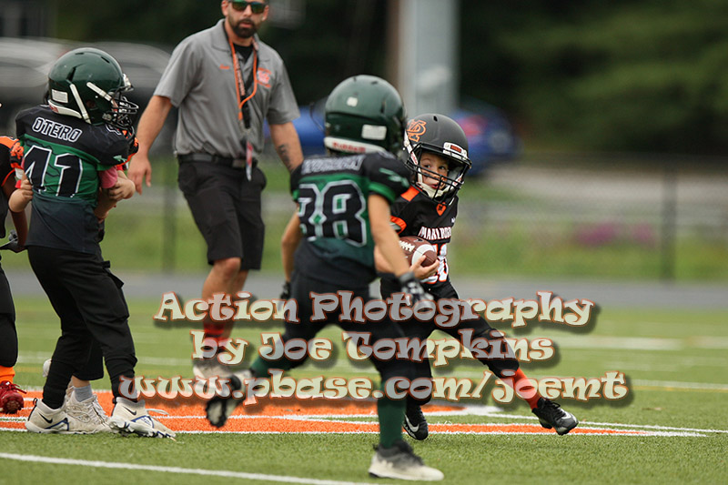 IMG_2877.jpg