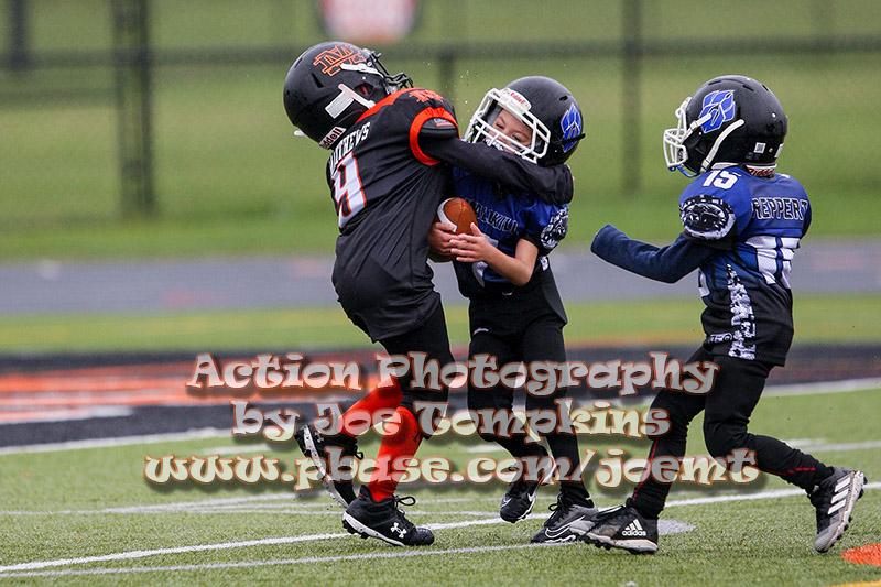 IMG_3667.jpg