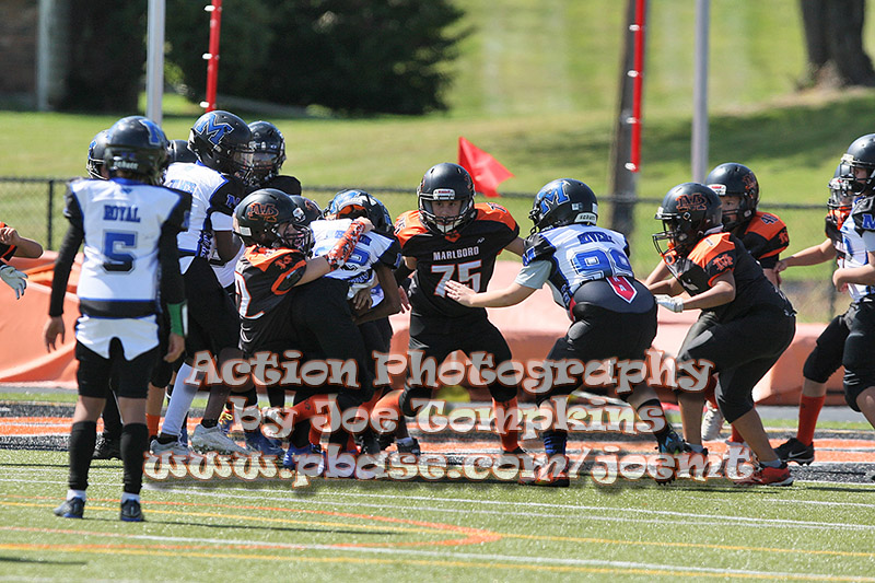 IMG_5267.jpg