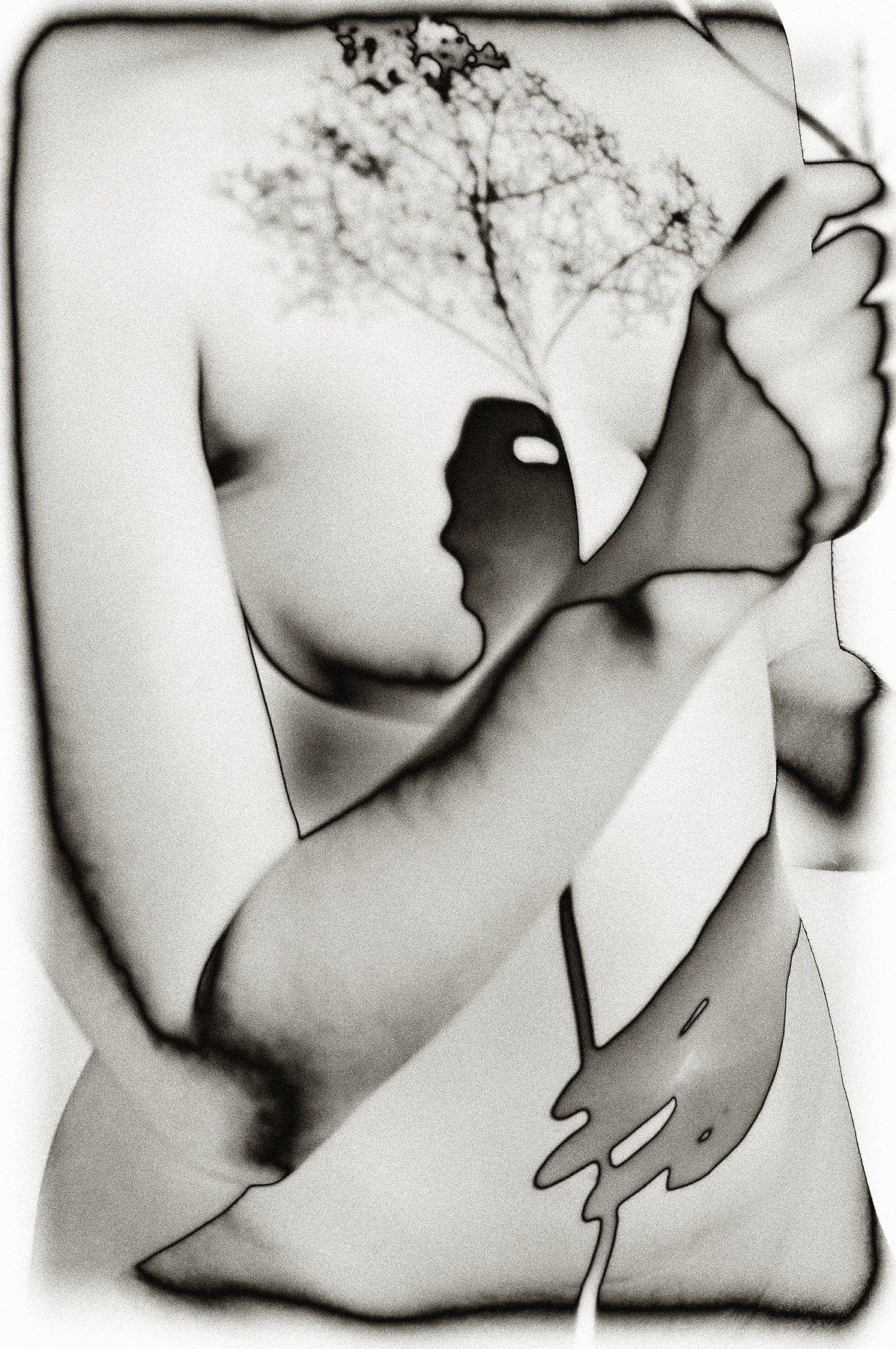 Tree of Life 1.jpg
