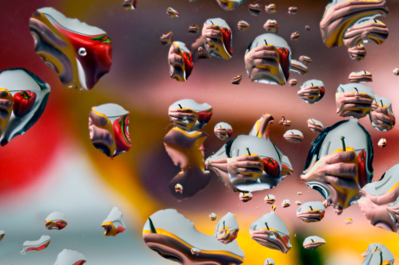 Pepper Medley 2.JPG