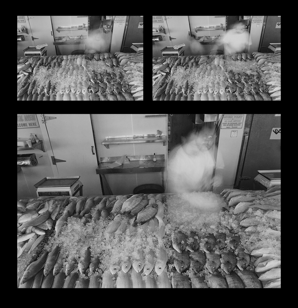 Fish Market, Washington, DC.jpg