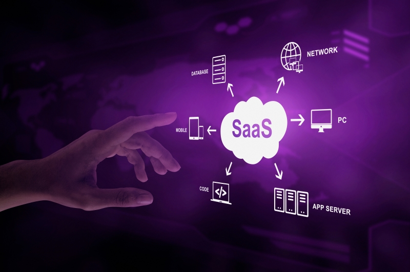 5 Reasons Your Business Needs Custom Software Development Services 