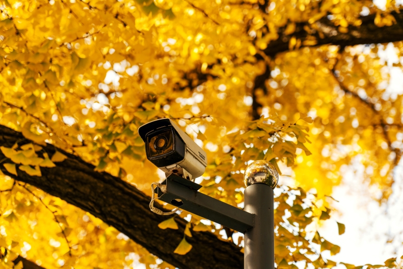 How Do You Choose the Best CCTV with Thermal Imaging?