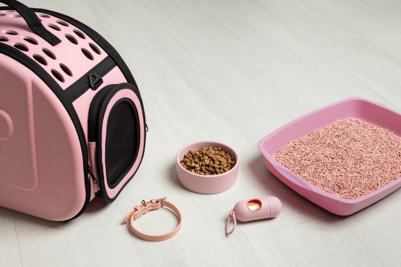 How to Make an Educated Decision when Shopping for a Kitty Litter?