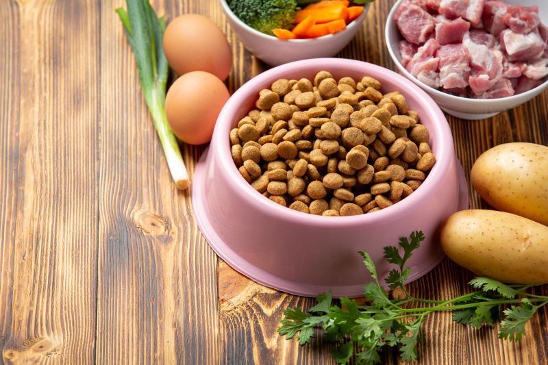 Why Should You Choose Quality Food Brands like Meals for Mutts?