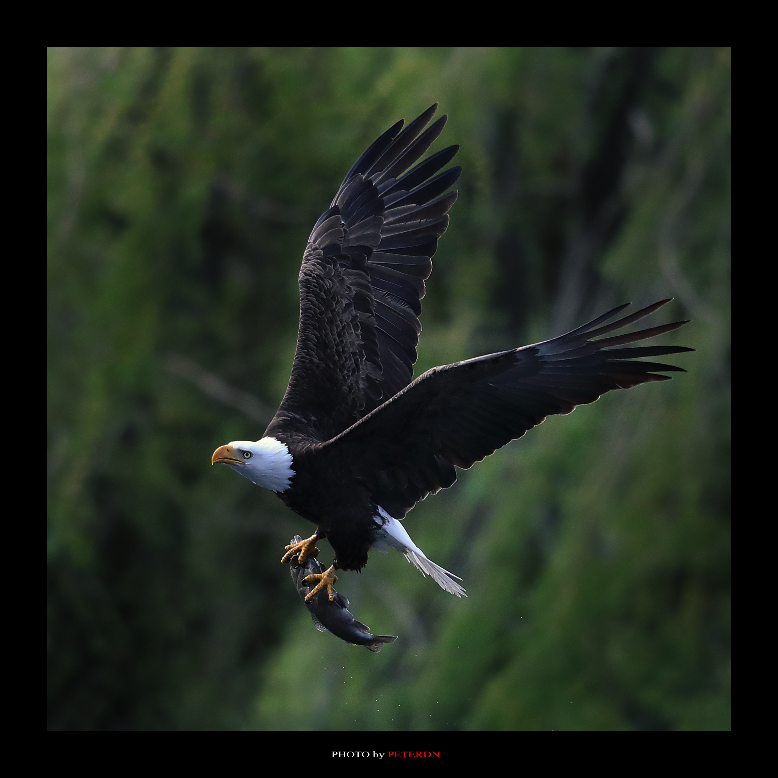 IMG_7032.jpg