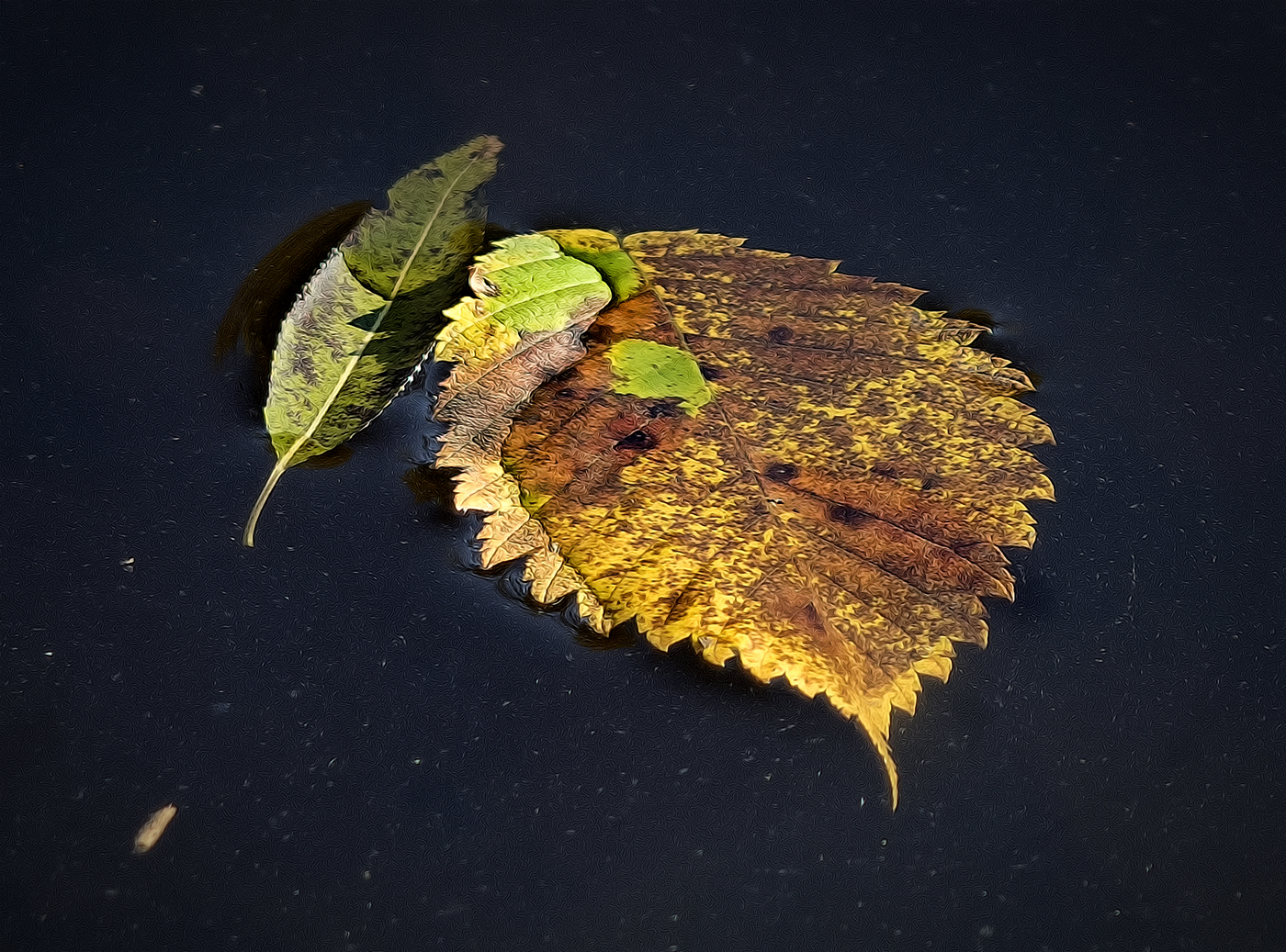 Fallen Leaves on Pond