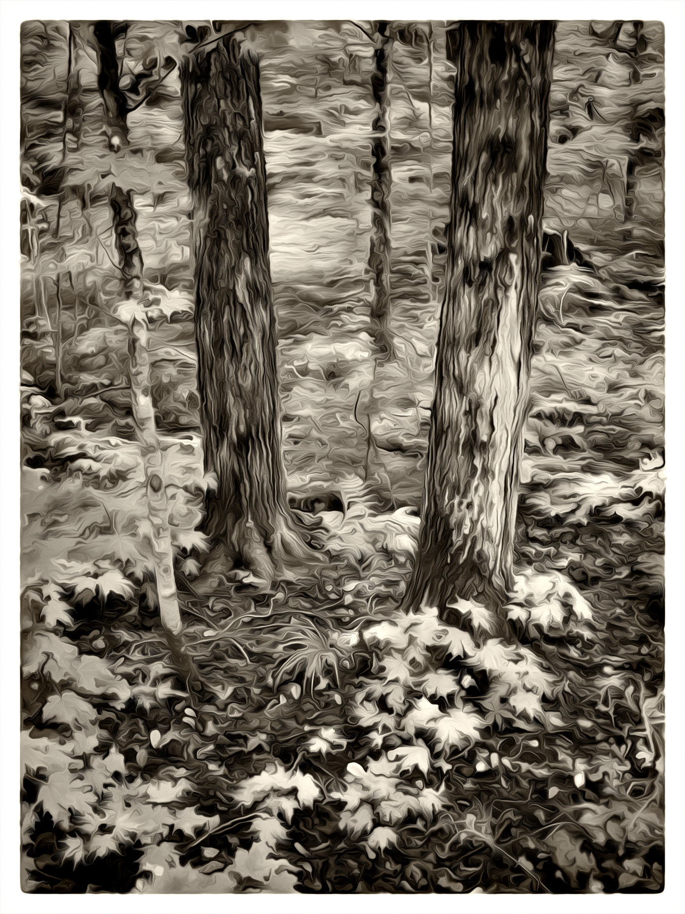 Woodlands