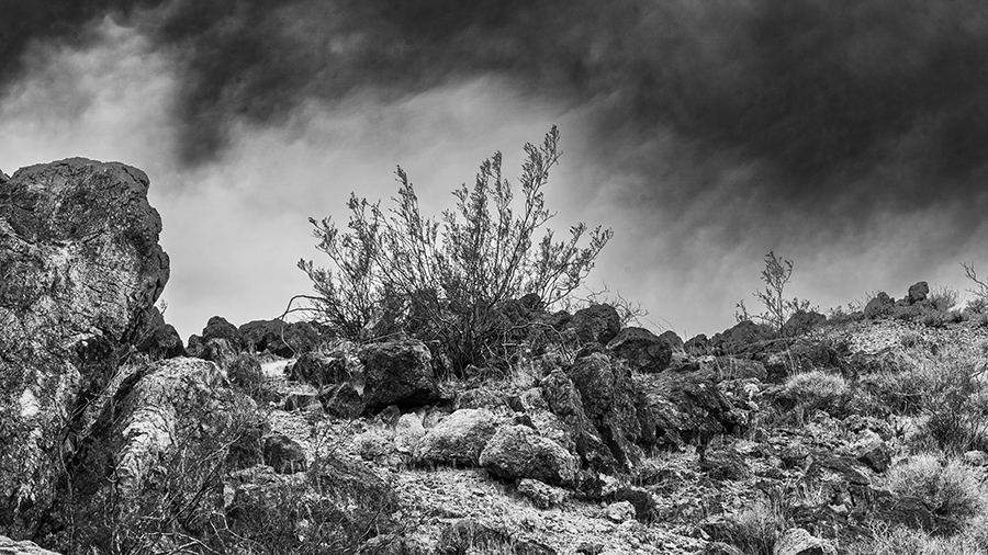 Rain may be coming.