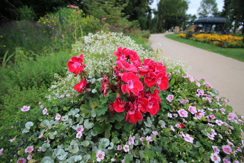 LANDESGARTENSCHAU IN BEELITZ / BRANDENBURG IMG_1859.JPG
