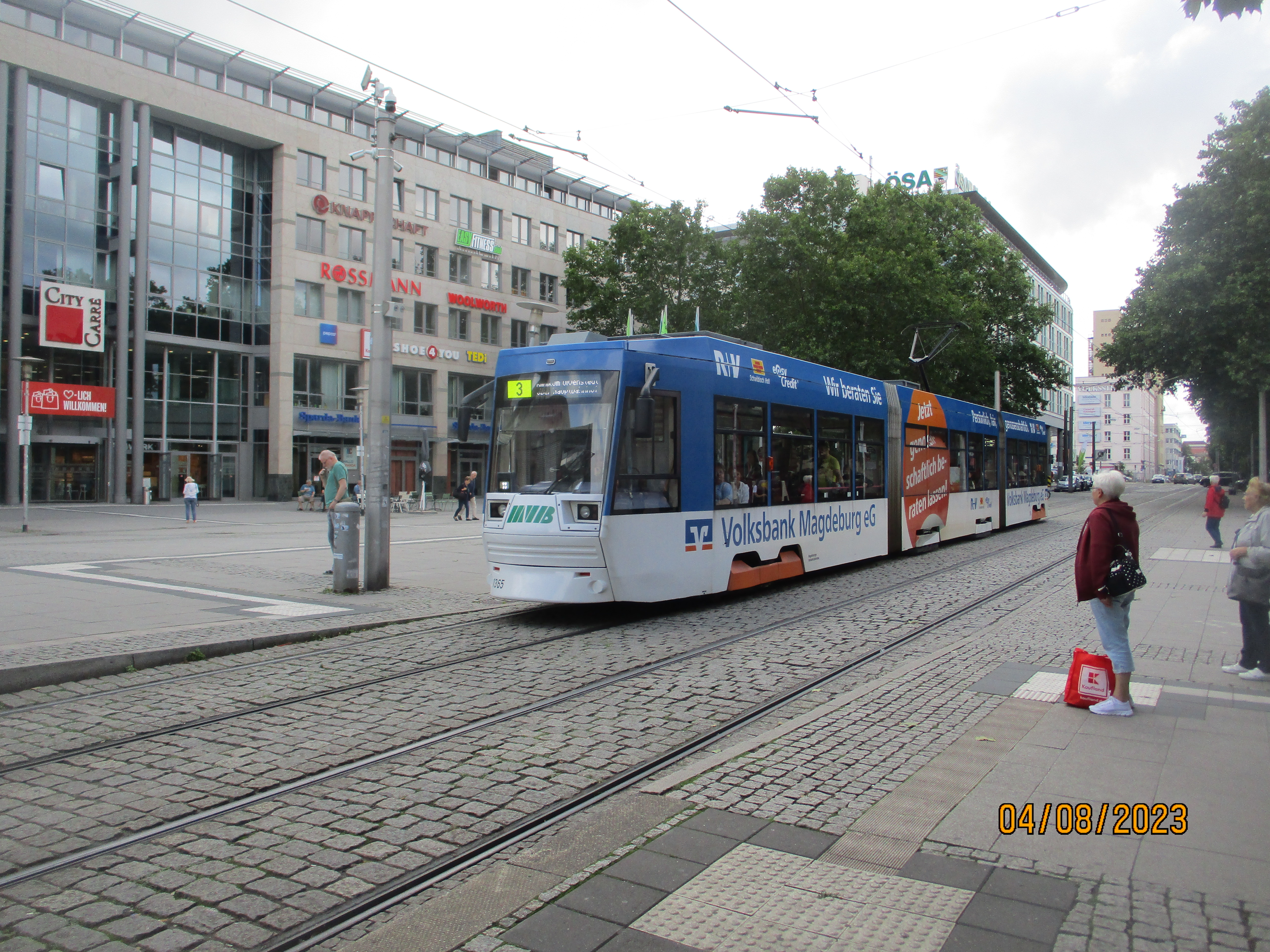 IMG_6521.JPG