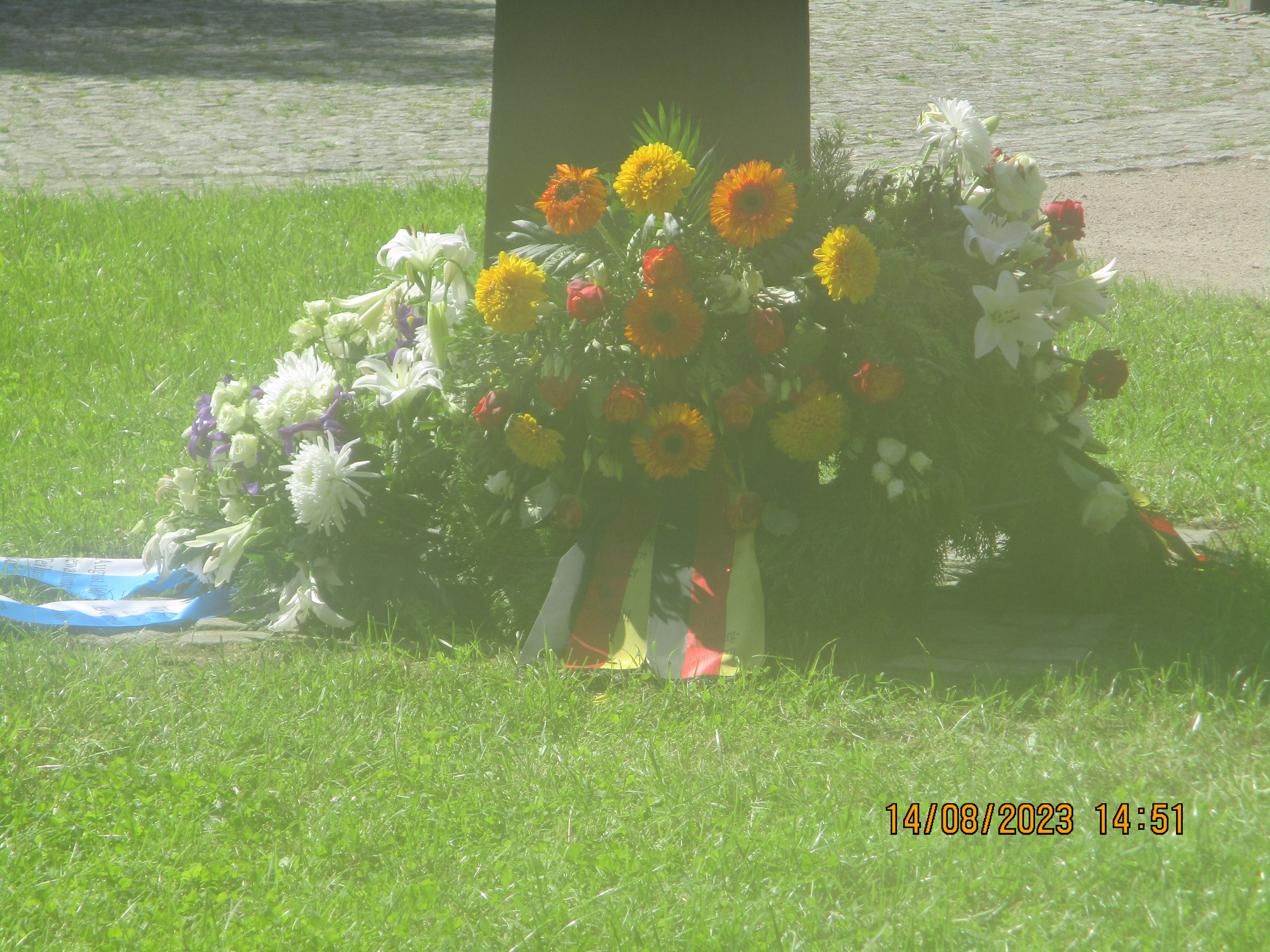 IMG_7551.JPG