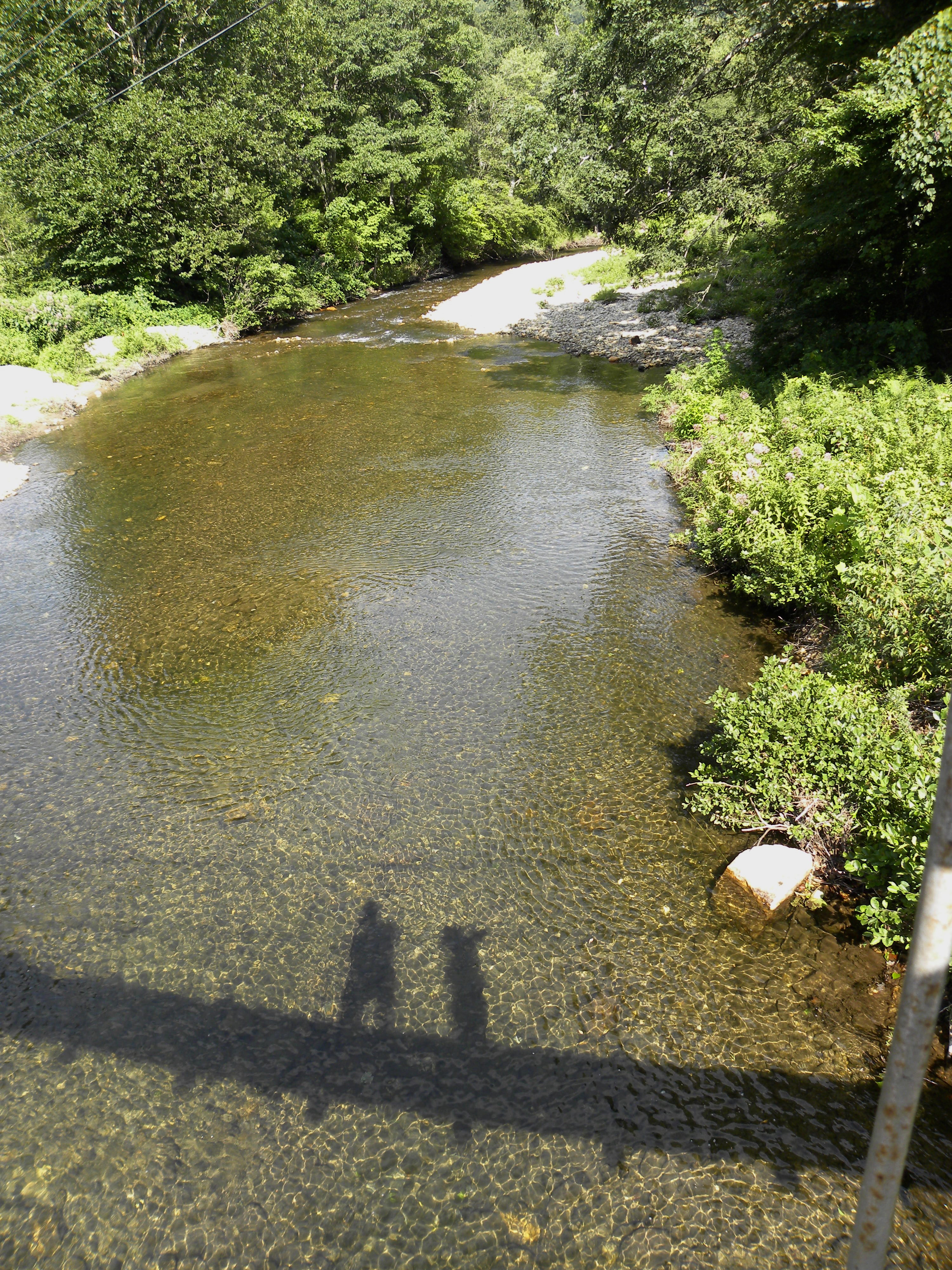 On the Swinging Bridge