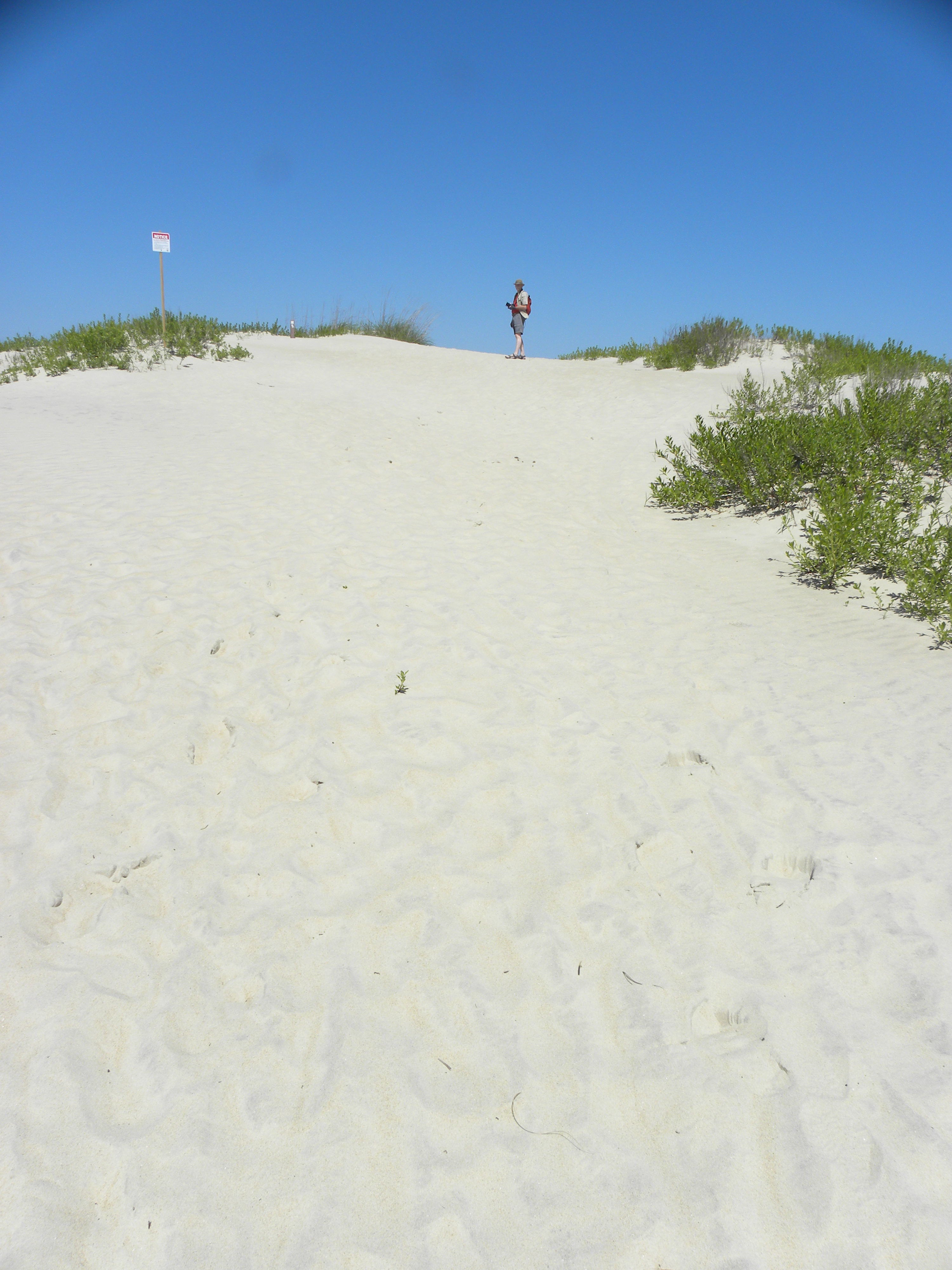 DSCN7193.JPG