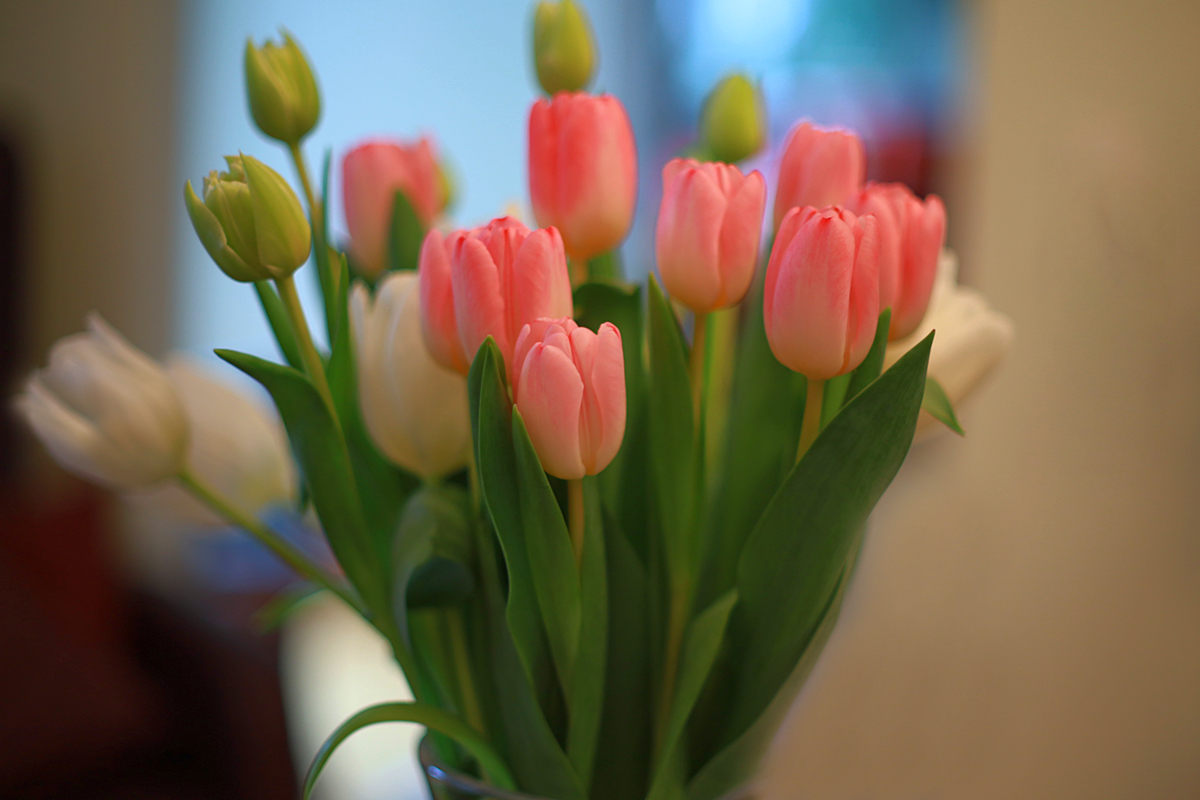 Bouquet