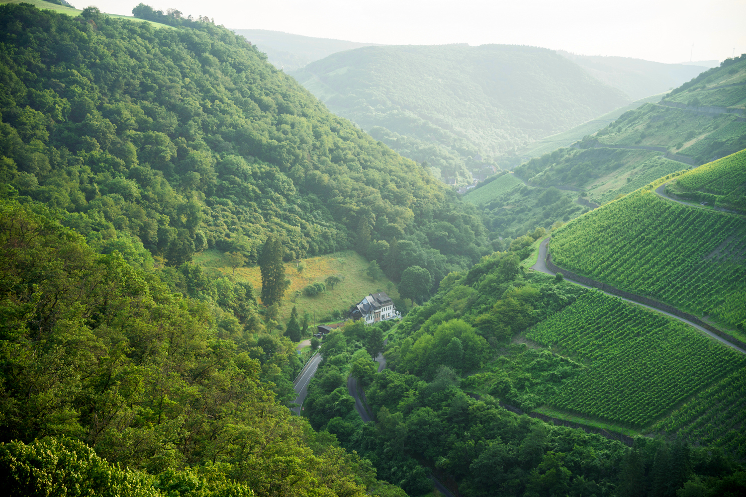 View  from the Top of the Castle