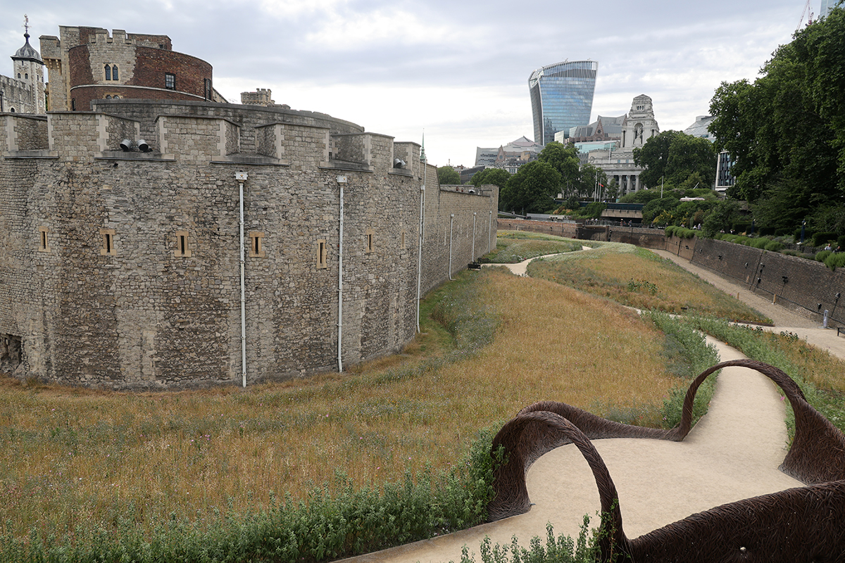 0899_RF061539.JPG