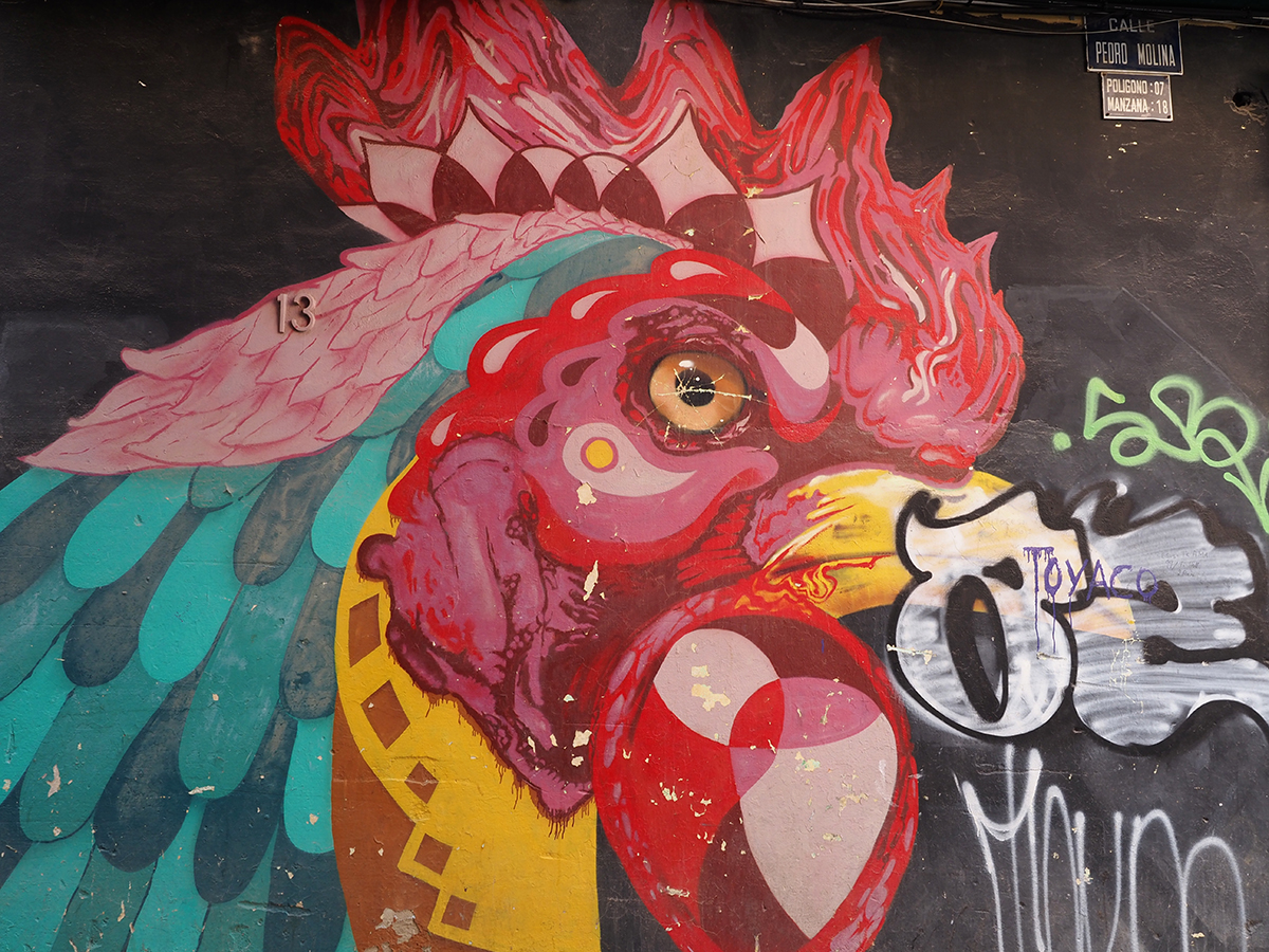 0507_OM1A0882.JPG