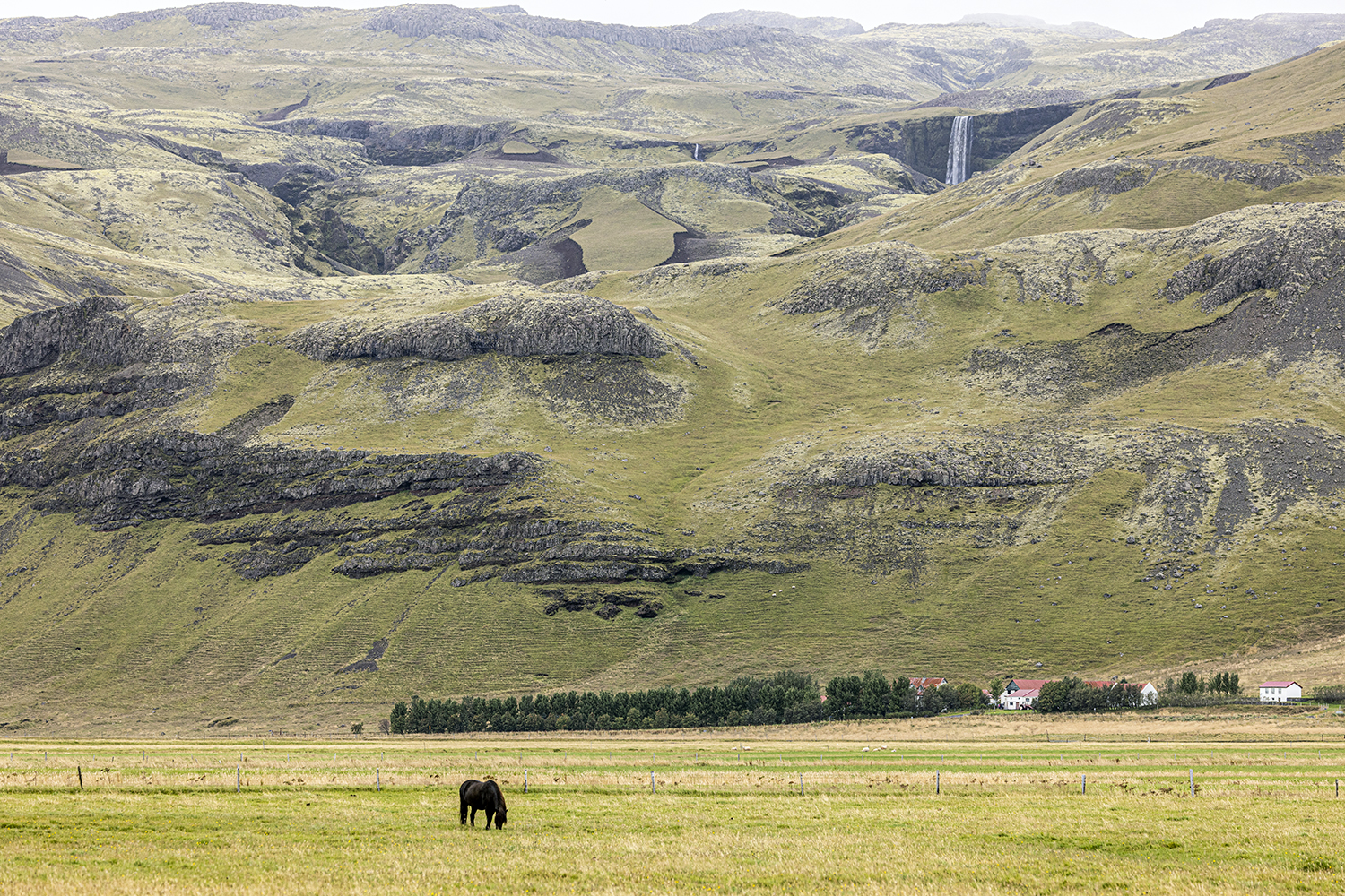 049_S_R5_10789.jpg