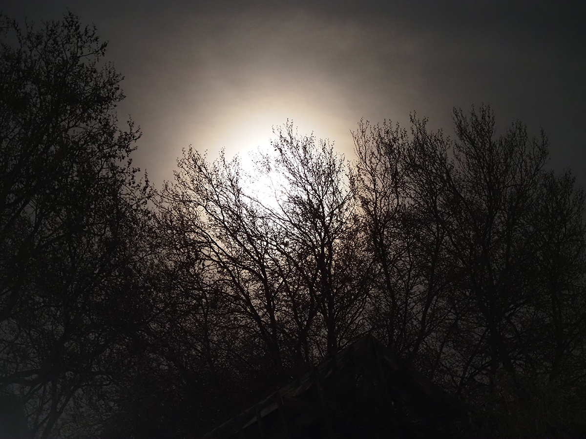 077_OM100247.JPG