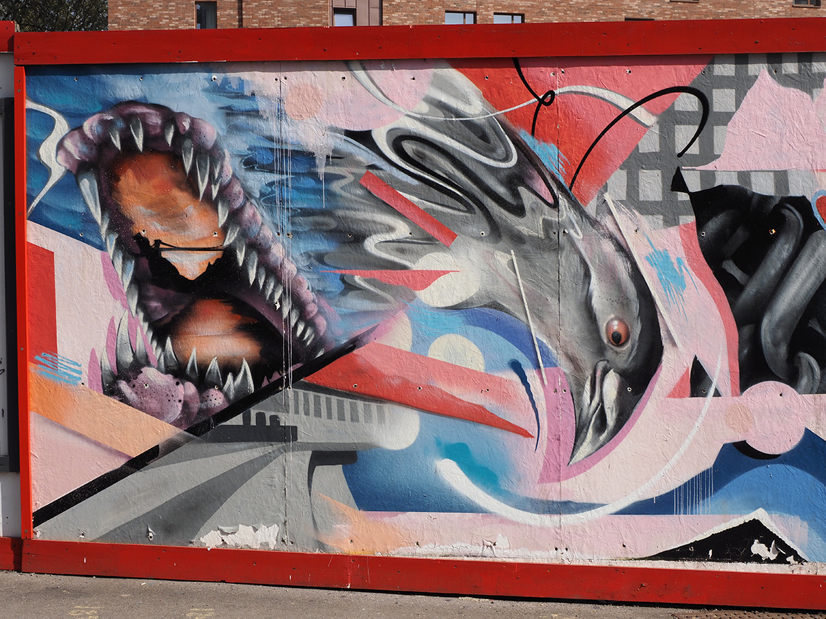 080_OM100310.JPG
