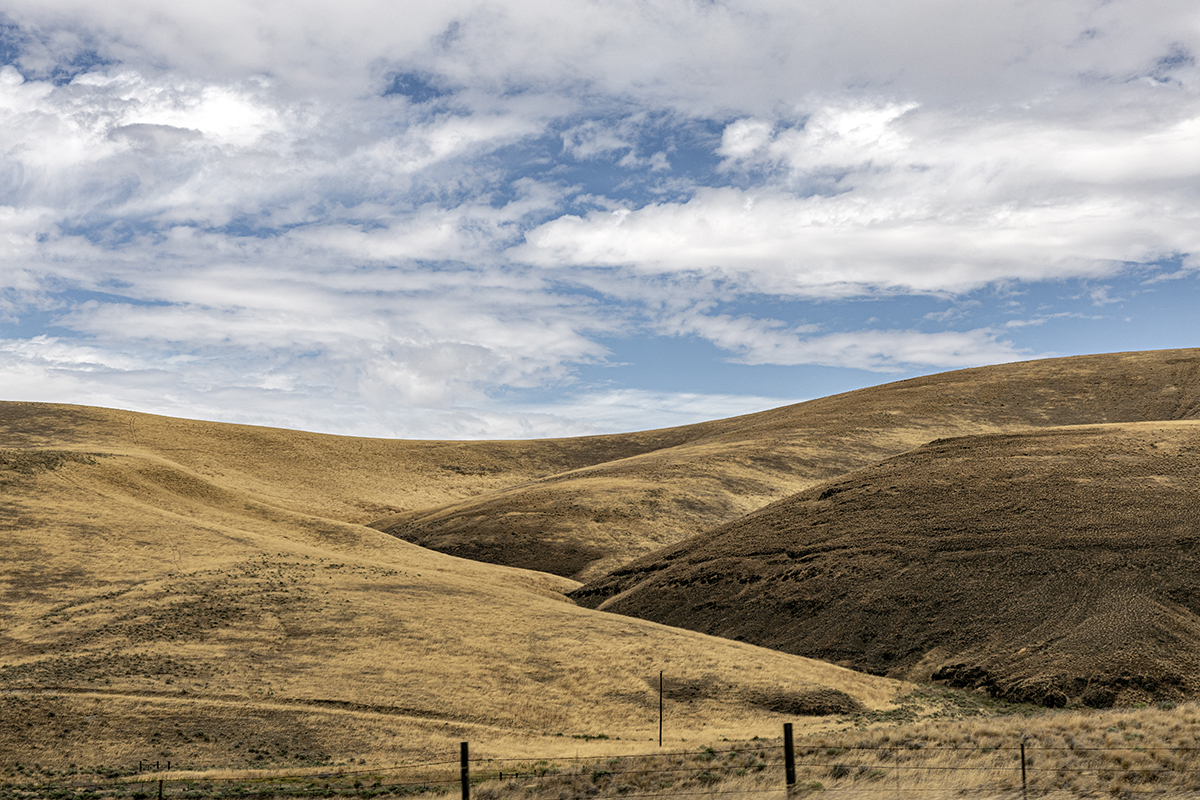 262_P_R6_27455.jpg