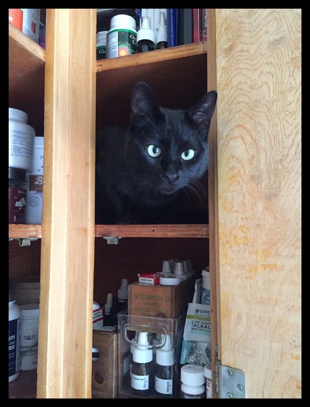Chad in Cupboard