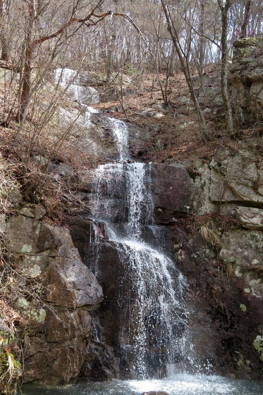 IMG_8670.JPG