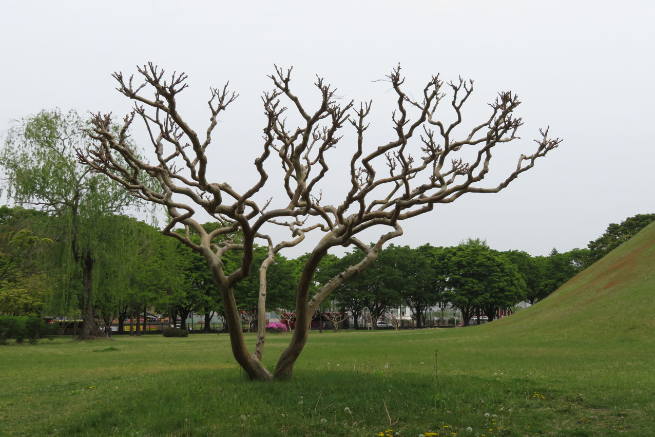 Tumuli Park