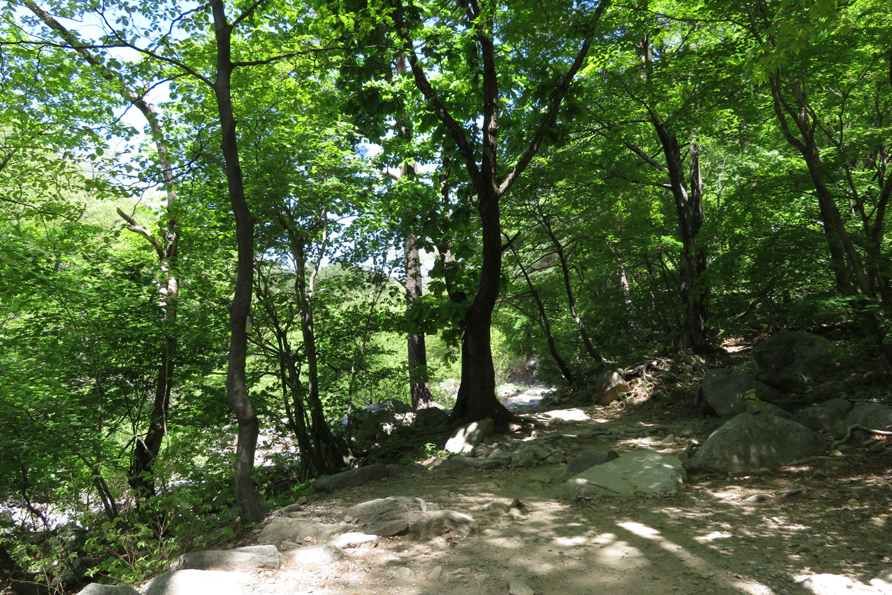 IMG_9690.JPG