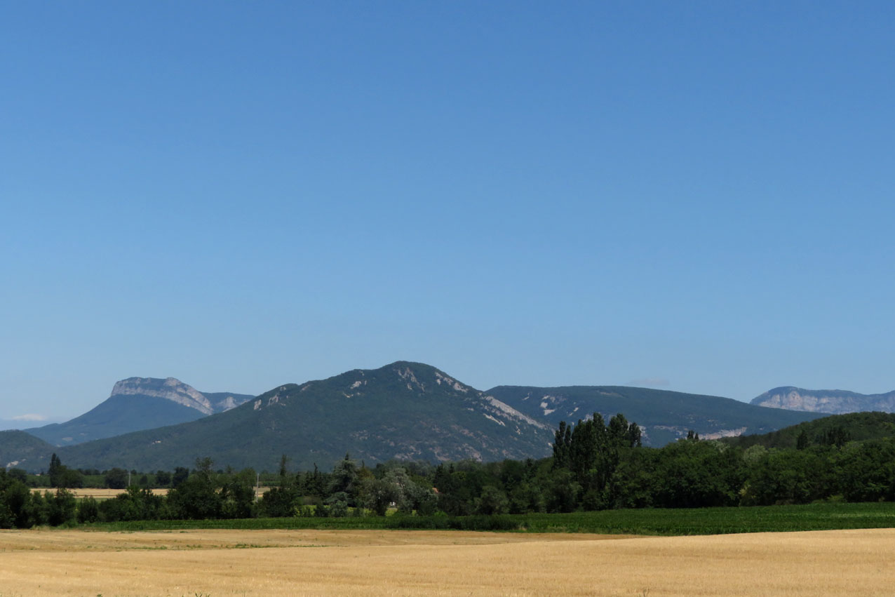 IMG_1850.JPG