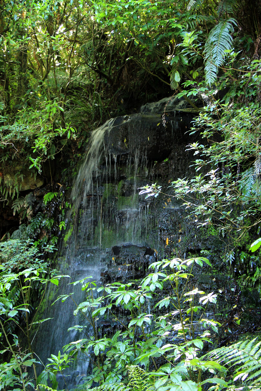 MacLean Falls