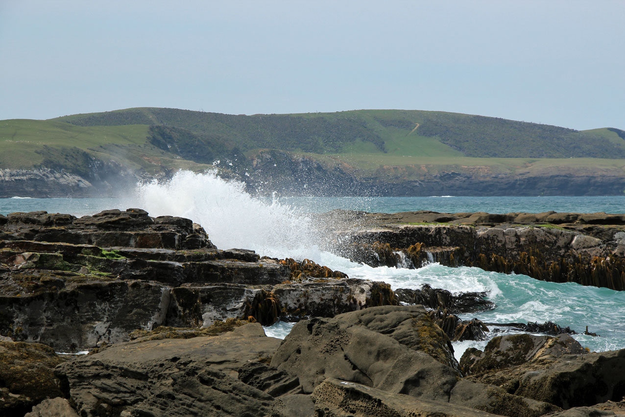 Curio Bay