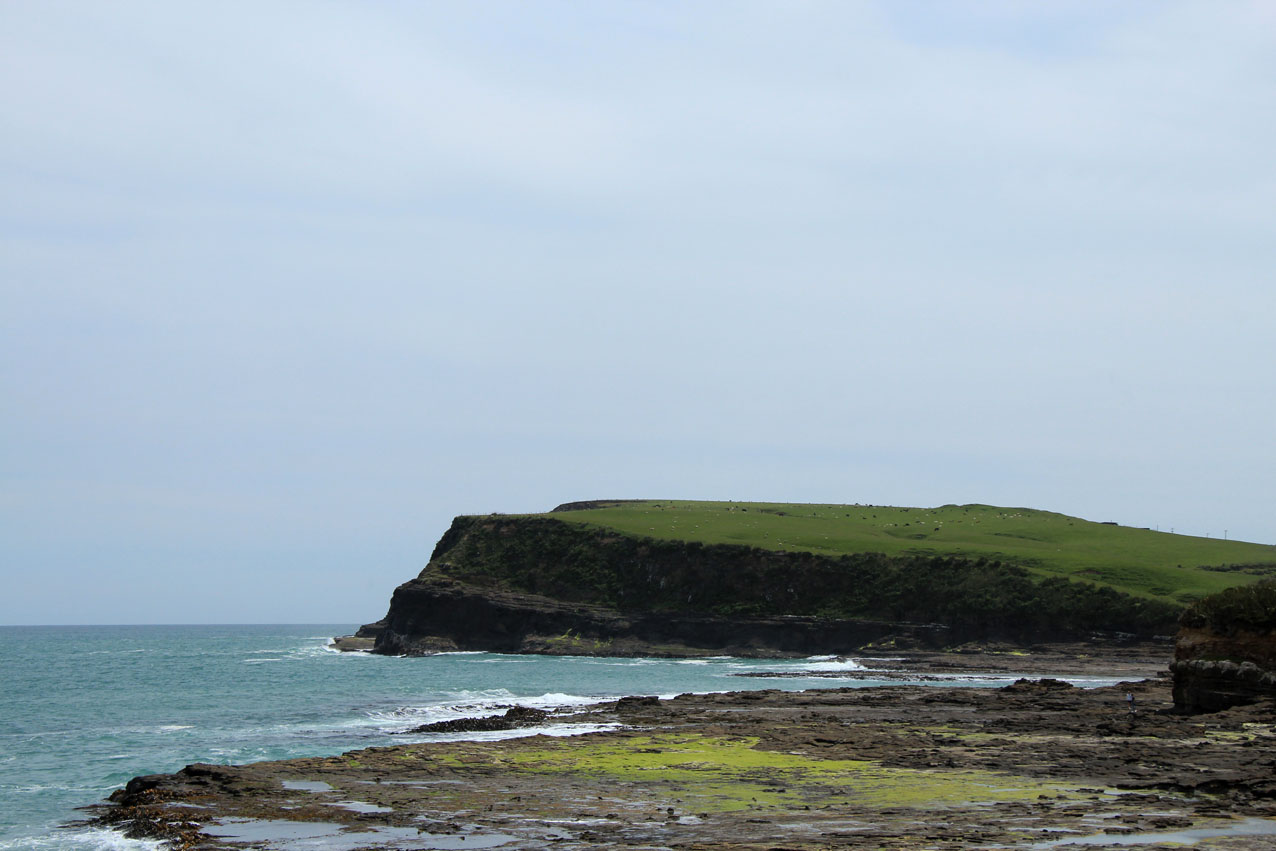 Curio Bay