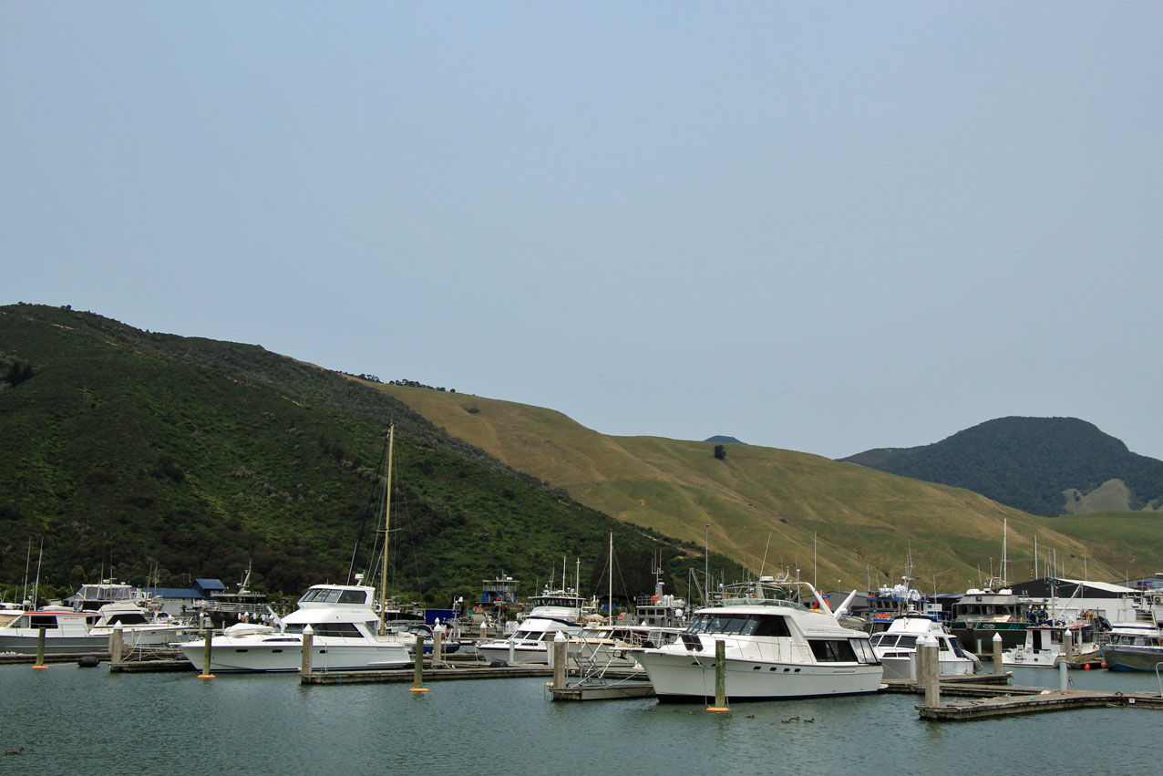 Havelock