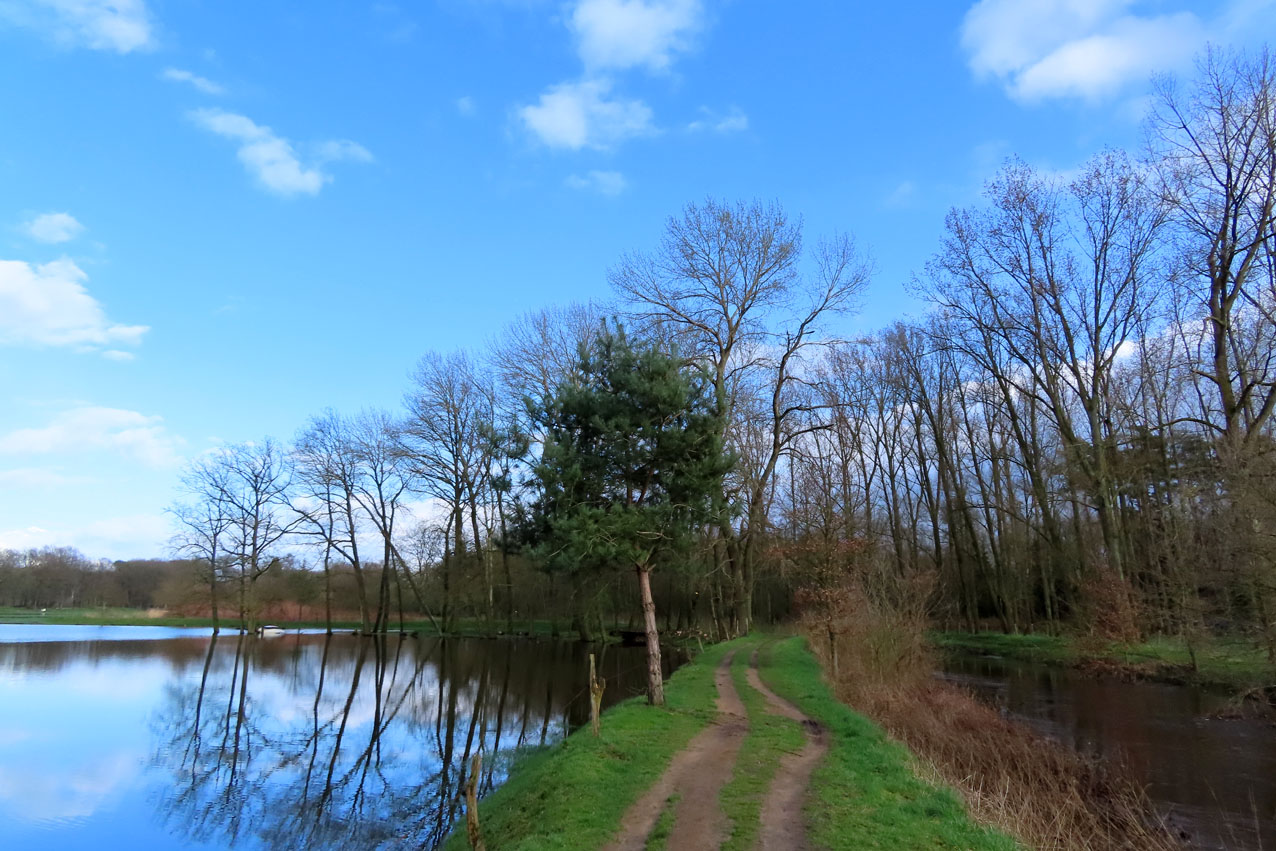 De Nete