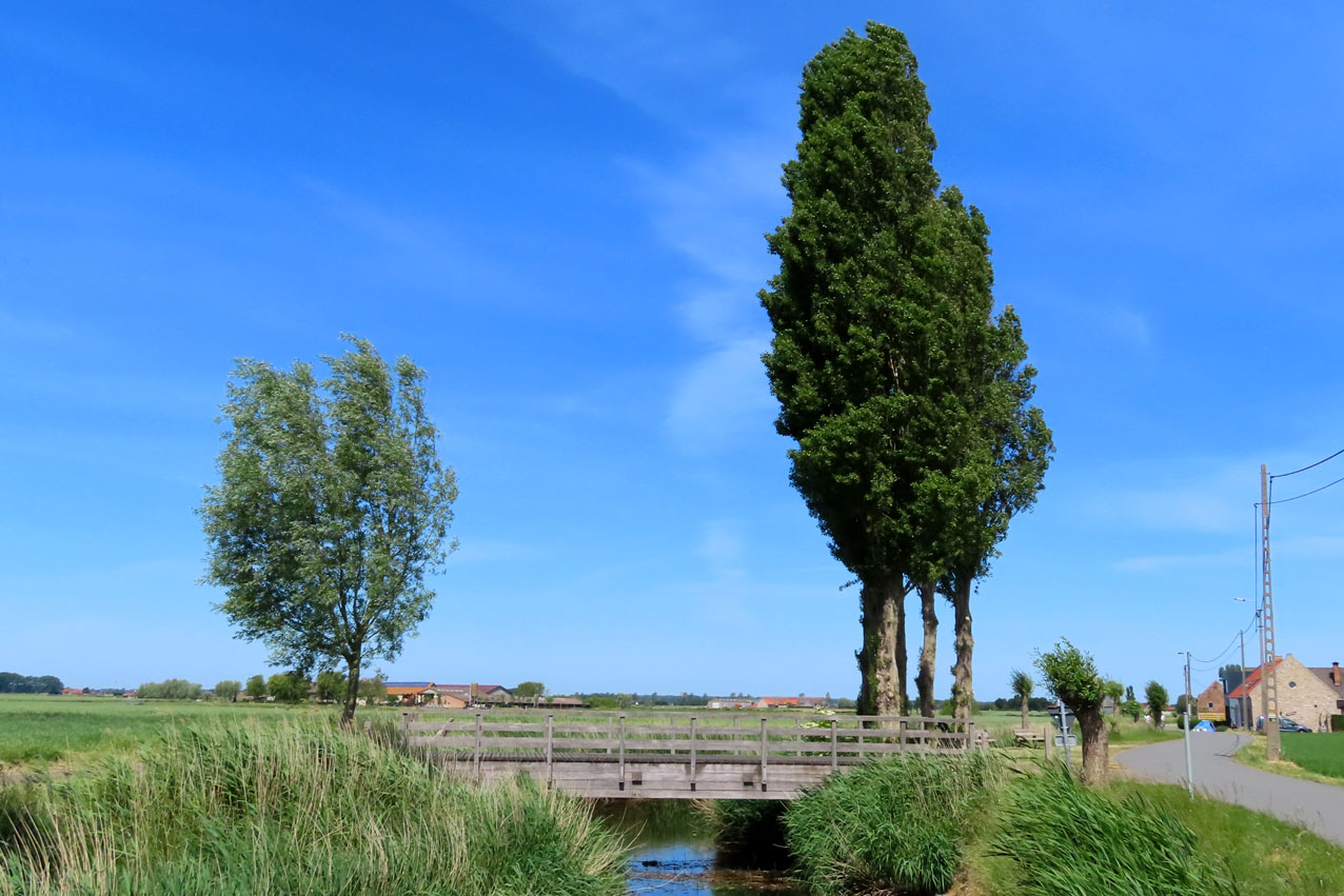 De Moeren
