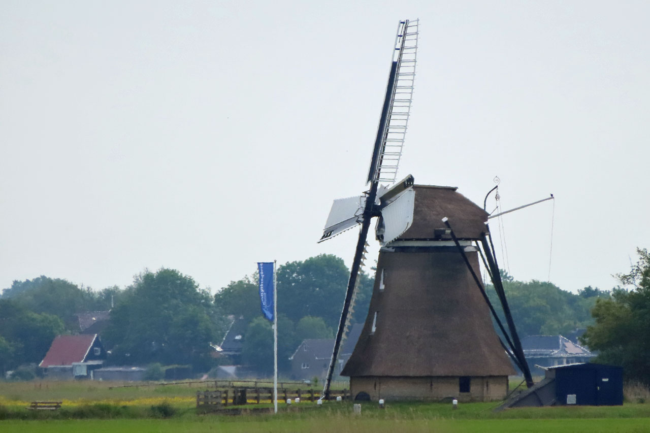 IMG_1538.JPG
