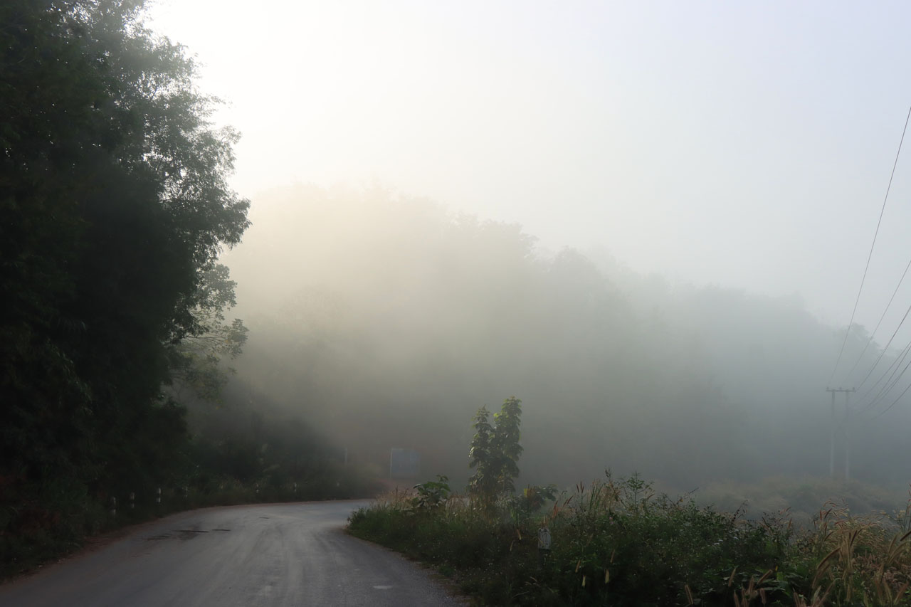IMG_7651.JPG