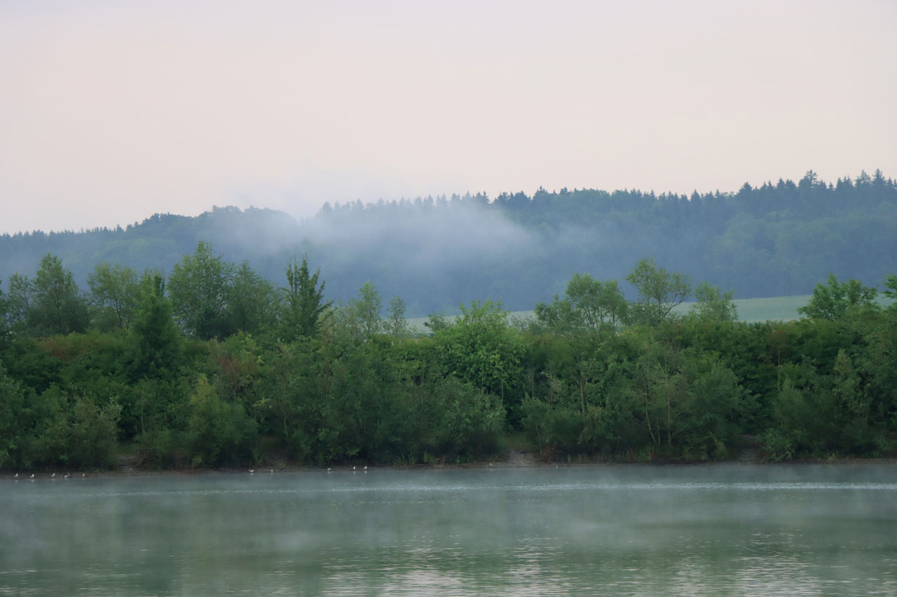 IMG_8569.JPG