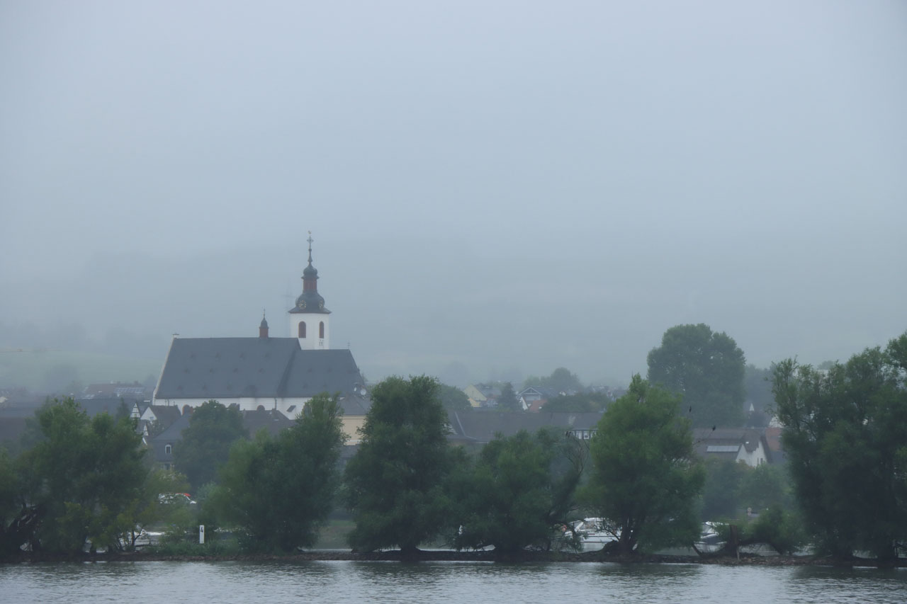 IMG_8891.JPG