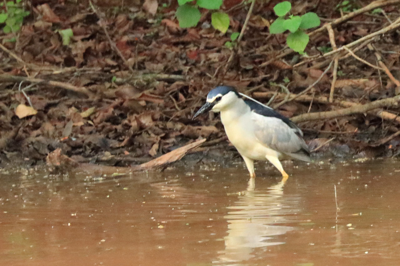 IMG_2673.JPG