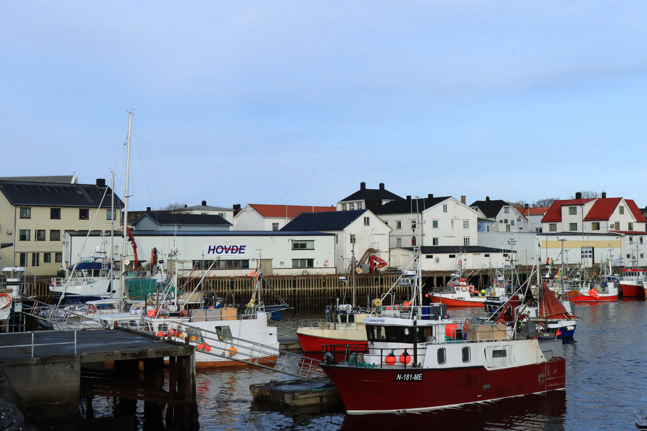 IMG_5880.JPG